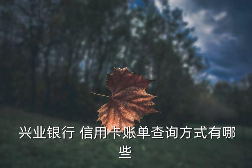  兴业银行 信用卡账单查询方式有哪些