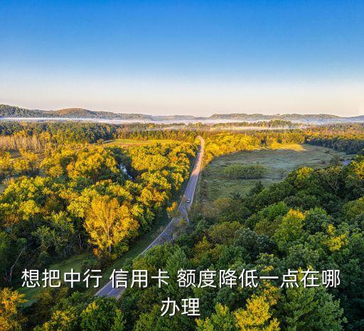 想把中行 信用卡 额度降低一点在哪办理