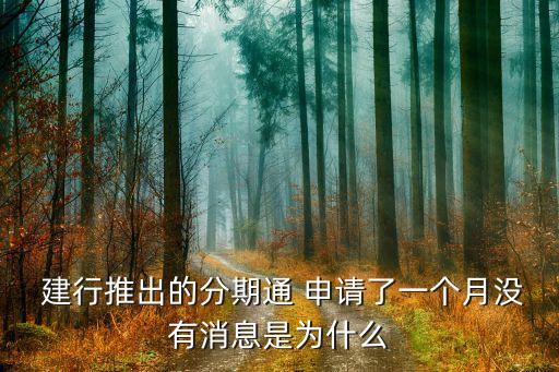  建行推出的分期通 申请了一个月没有消息是为什么