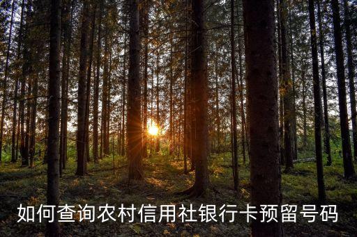 如何查询农村信用社银行卡预留号码