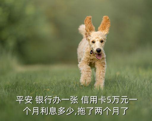  平安 银行办一张 信用卡5万元一个月利息多少,拖了两个月了
