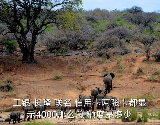 工银 长隆 联名 信用卡两张卡都显示4000那么总 额度是多少