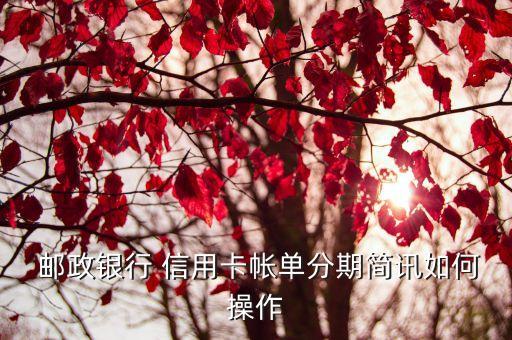  邮政银行 信用卡帐单分期简讯如何操作