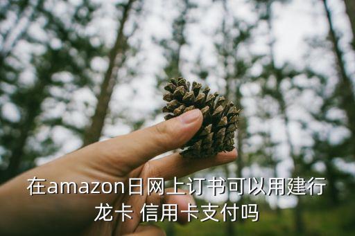在amazon日网上订书可以用建行龙卡 信用卡支付吗