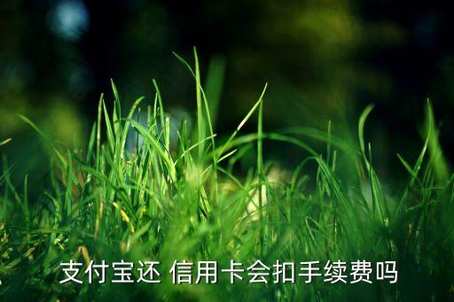 支付宝信用卡还款服务费,微众银行如何提前还款