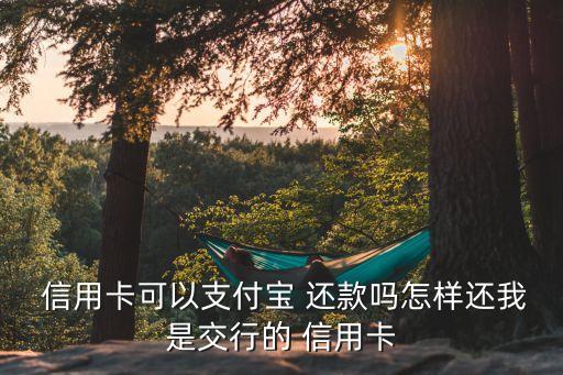  信用卡可以支付宝 还款吗怎样还我是交行的 信用卡