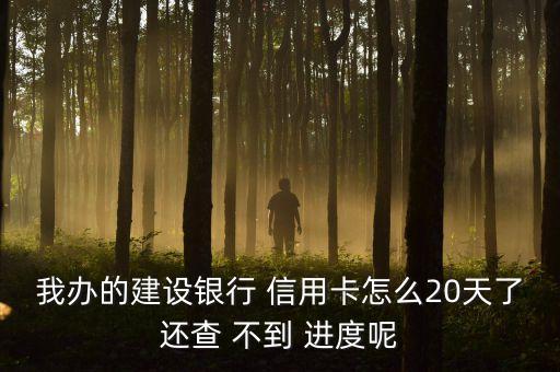 我办的建设银行 信用卡怎么20天了还查 不到 进度呢
