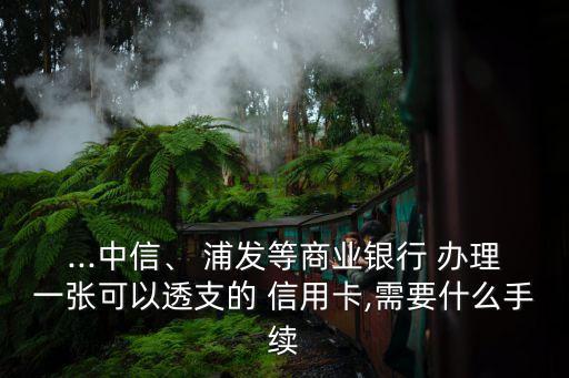 ...中信、 浦发等商业银行 办理一张可以透支的 信用卡,需要什么手续