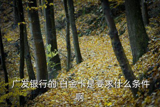  广发银行的 白金卡是要求什么条件啊