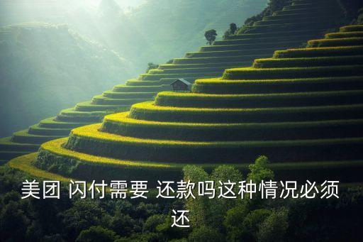 美团 闪付需要 还款吗这种情况必须还