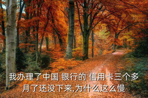 我办理了中国 银行的 信用卡三个多月了还没下来,为什么这么慢