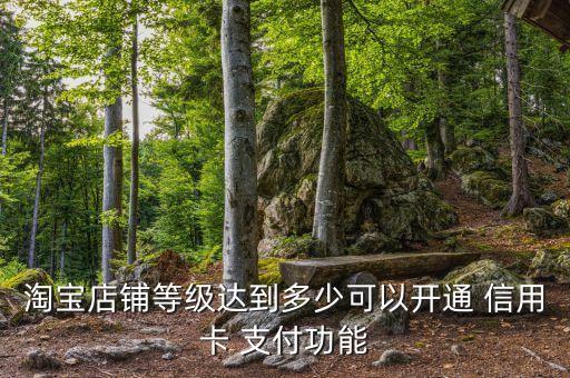 淘宝店铺等级达到多少可以开通 信用卡 支付功能