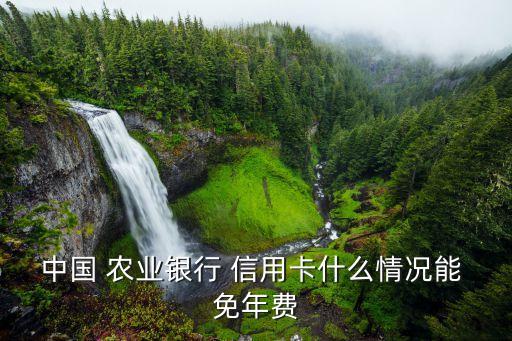 中国 农业银行 信用卡什么情况能 免年费