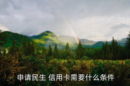  申请民生 信用卡需要什么条件