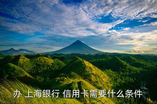 办 上海银行 信用卡需要什么条件