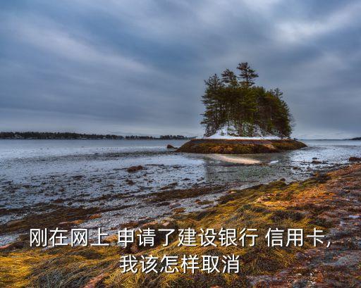 刚在网上 申请了建设银行 信用卡,我该怎样取消