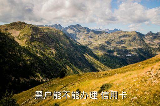 黑户能不能办理 信用卡