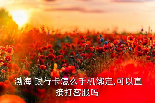 渤海银行信用卡还款软件,支付宝渤海银行信用卡怎么还款