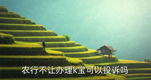 农业银行k宝申请信用卡银行拒,没办农业银行的信用卡却收到银行短信