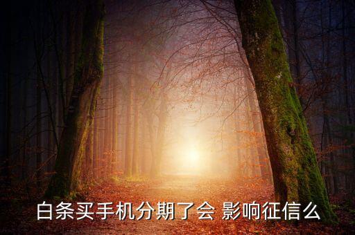 白条买手机分期了会 影响征信么