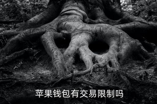  苹果钱包有交易限制吗