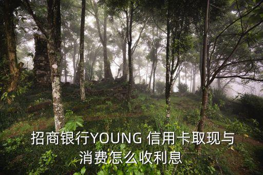  招商银行YOUNG 信用卡取现与消费怎么收利息