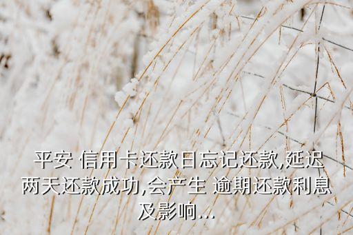  平安 信用卡还款日忘记还款,延迟两天还款成功,会产生 逾期还款利息及影响...
