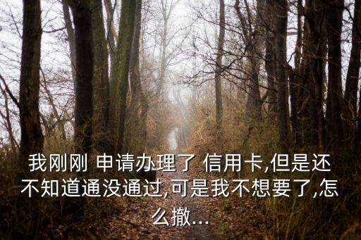 我刚刚 申请办理了 信用卡,但是还不知道通没通过,可是我不想要了,怎么撤...