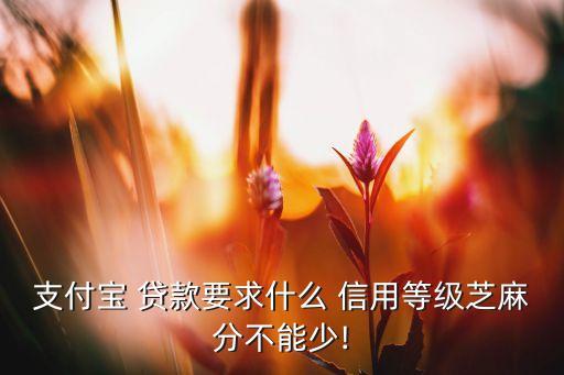 支付宝 贷款要求什么 信用等级芝麻分不能少!
