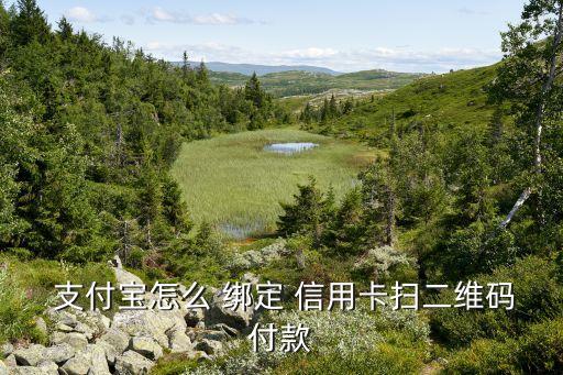  支付宝怎么 绑定 信用卡扫二维码付款