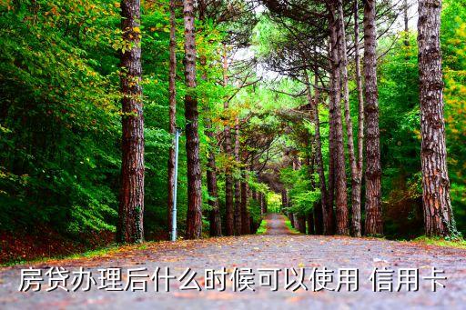 房贷办理后什么时候可以使用 信用卡