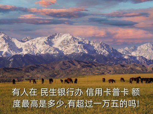 有人在 民生银行办 信用卡普卡 额度最高是多少,有超过一万五的吗!