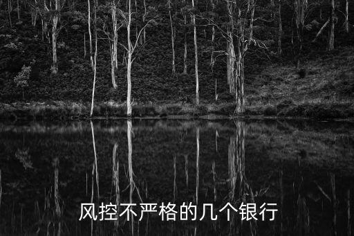  风控不严格的几个银行