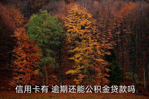  信用卡有 逾期还能公积金贷款吗