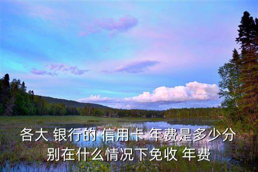 各大 银行的 信用卡 年费是多少分别在什么情况下免收 年费