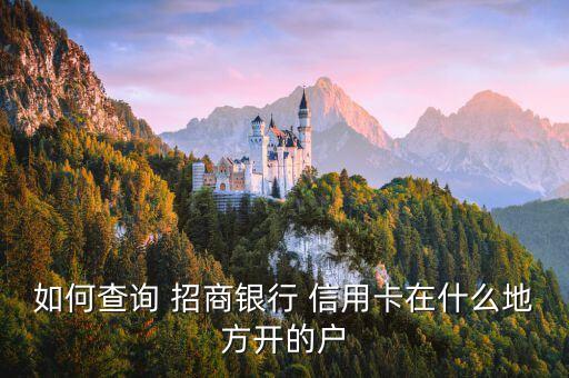 如何查询 招商银行 信用卡在什么地方开的户