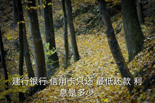 建行银行 信用卡只还 最低还款 利息是多少