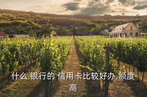 什么 银行的 信用卡比较好办,额度高