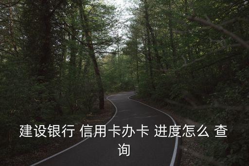 中国建行信用卡申请进度查询,建行信用卡申请进度查询显示审批退回