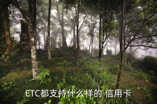 ETC都支持什么样的 信用卡
