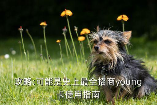 攻略:可能是史上最全招商young卡使用指南