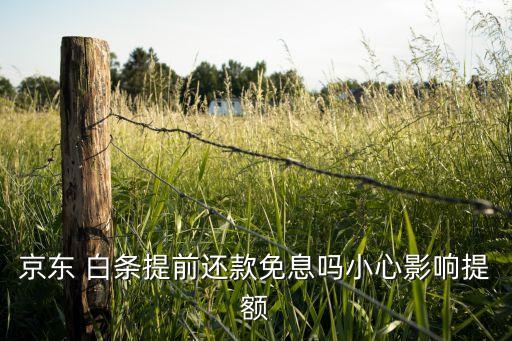 京东 白条提前还款免息吗小心影响提额