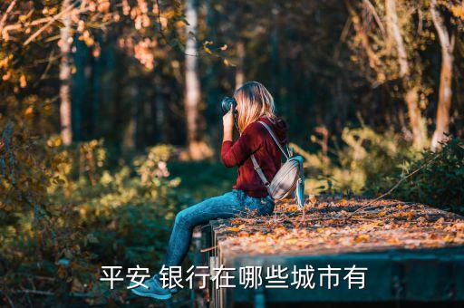 薛城平安银行信用卡办理点,平安银行信用卡办理需要什么条件
