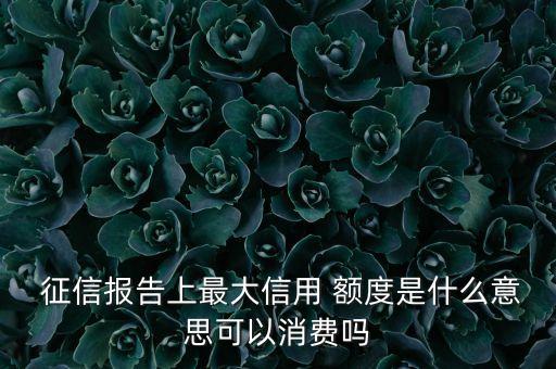 征信显示信用卡额度已满,信用卡额度负数影响征信吗