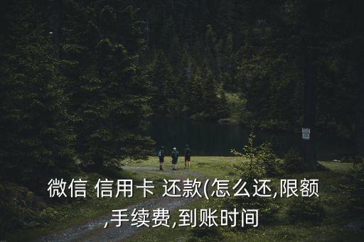  微信 信用卡 还款(怎么还,限额,手续费,到账时间