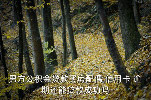 男方公积金贷款买房配偶 信用卡 逾期还能贷款成功吗