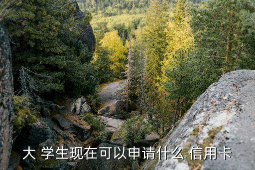 大 学生现在可以申请什么 信用卡