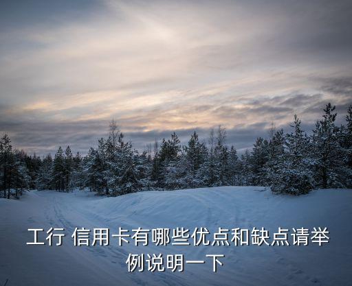  工行 信用卡有哪些优点和缺点请举例说明一下