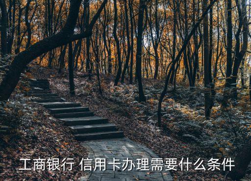  工商银行 信用卡办理需要什么条件