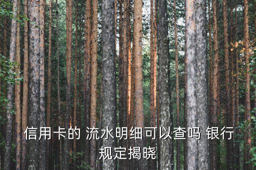  信用卡的 流水明细可以查吗 银行规定揭晓